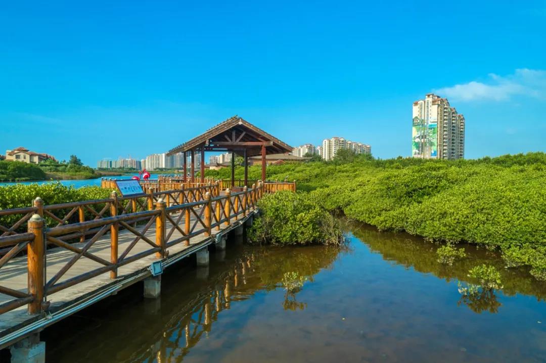 最美人间四月天—红树湾出游指南